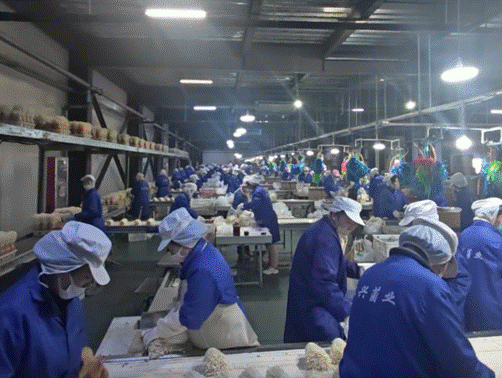 /private/var/folders/pr/m30fx9f92yqcldbczq35nlk80000gn/T/com.kingsoft.wpsoffice.mac/picturecompress_20251216104603/output_1.pngoutput_1